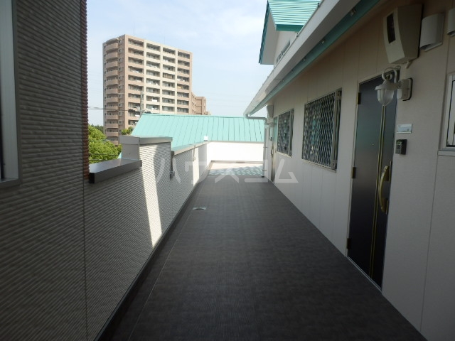 20/30 その他画像