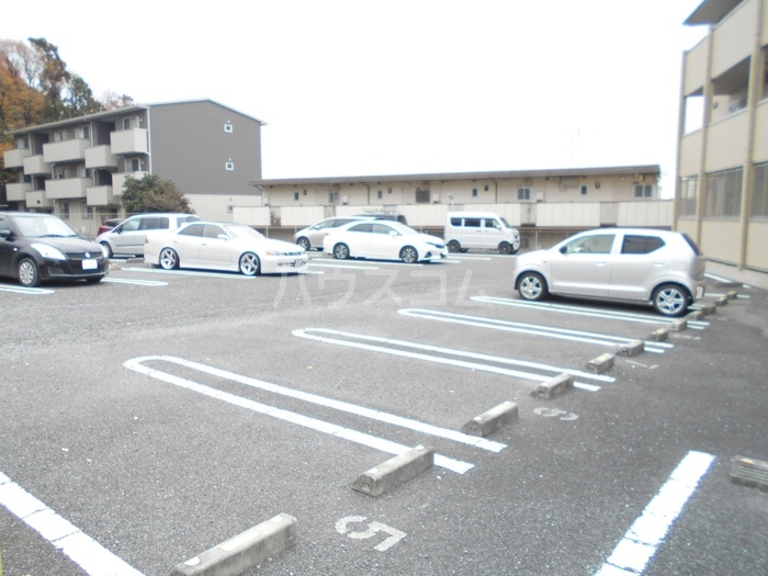 3/13 駐車場