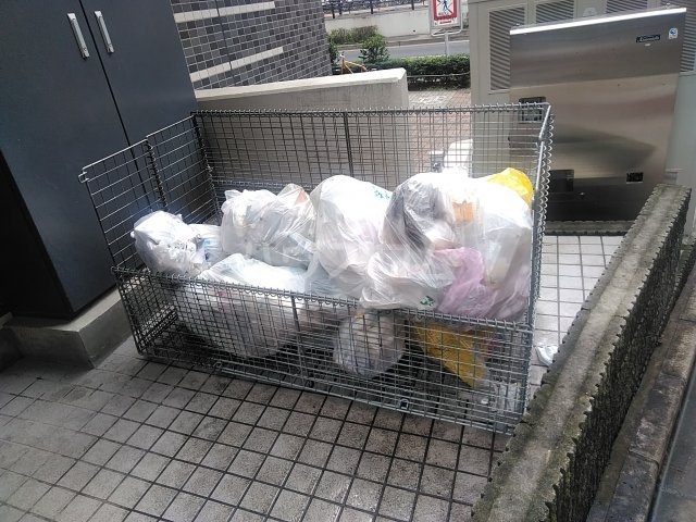 15/19 その他画像