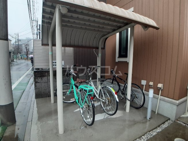 20/30 その他画像