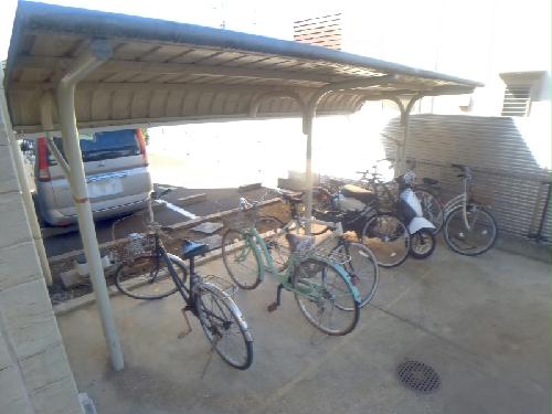 11/21 その他画像