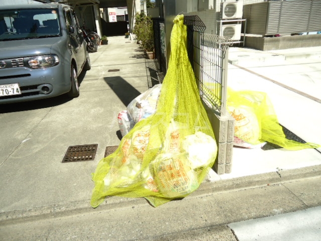 20/30 その他画像