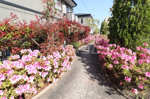 17/22 その他画像