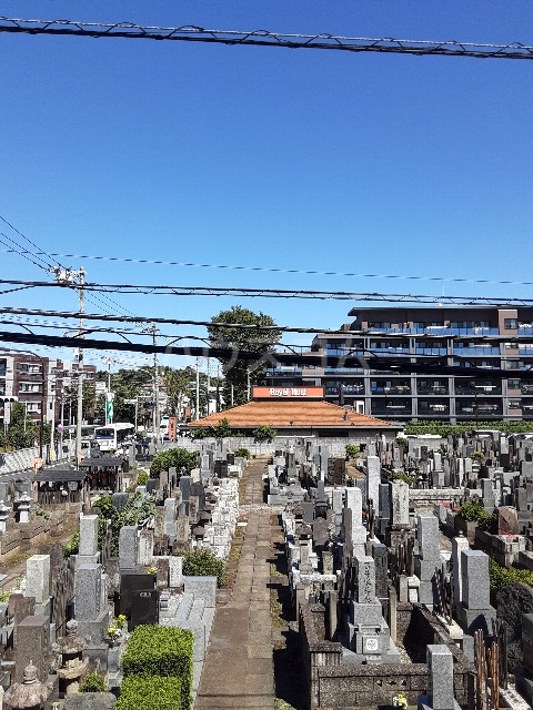 15/19 その他画像