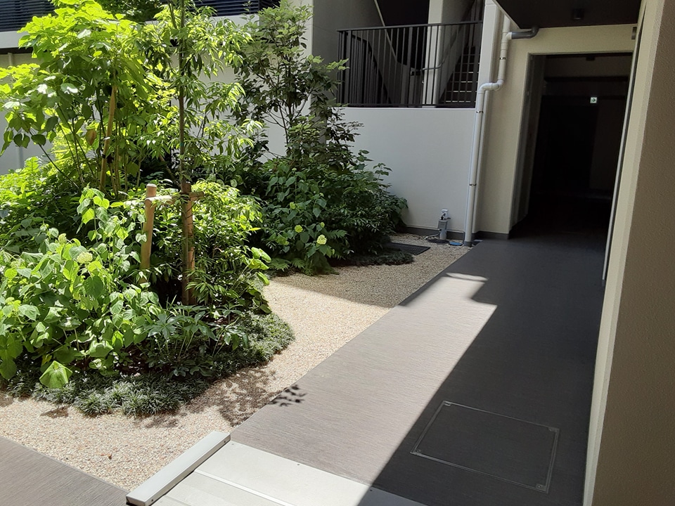 17/29 その他画像