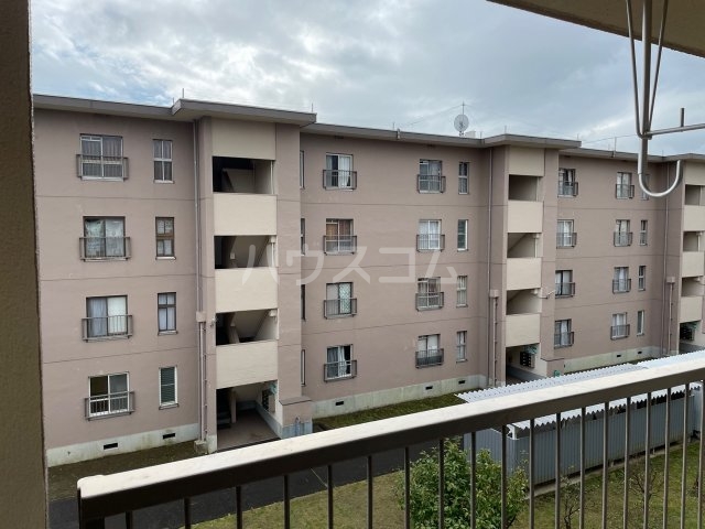 17/25 その他画像