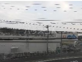 12/17 その他画像