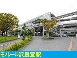 3/16 周辺