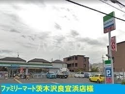 5/16 周辺