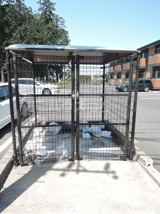 17/29 その他画像