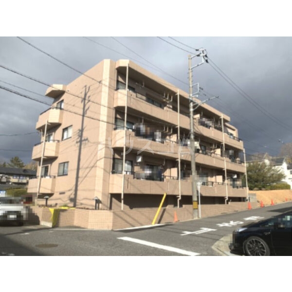 13/16 その他画像