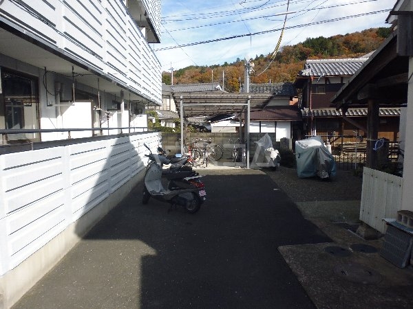 15/19 その他画像