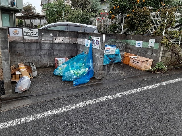 20/30 その他画像