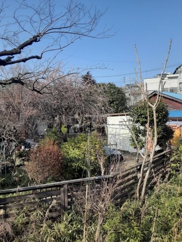 13/16 その他画像