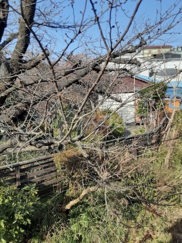 13/16 その他画像