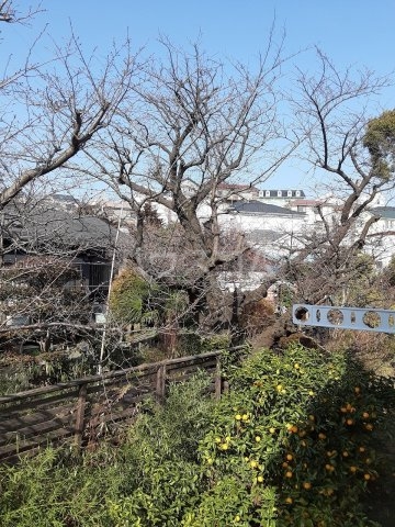 11/16 その他画像