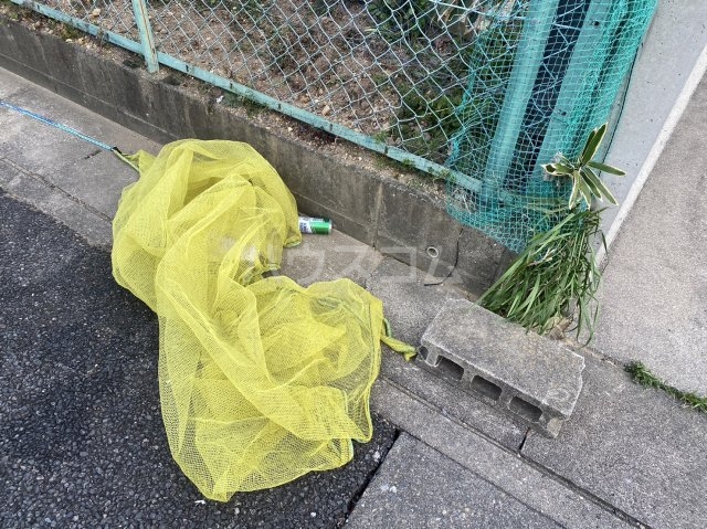 16/24 その他画像