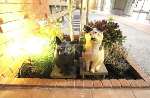 19/23 その他画像