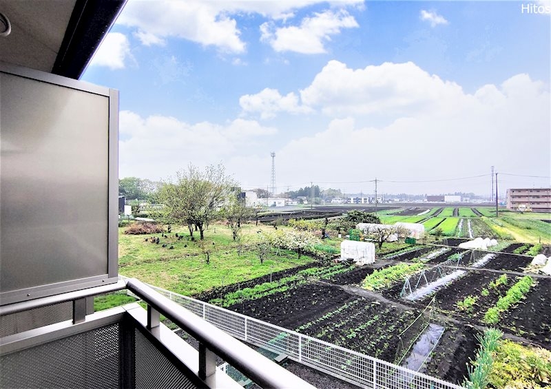 12/30 その他画像