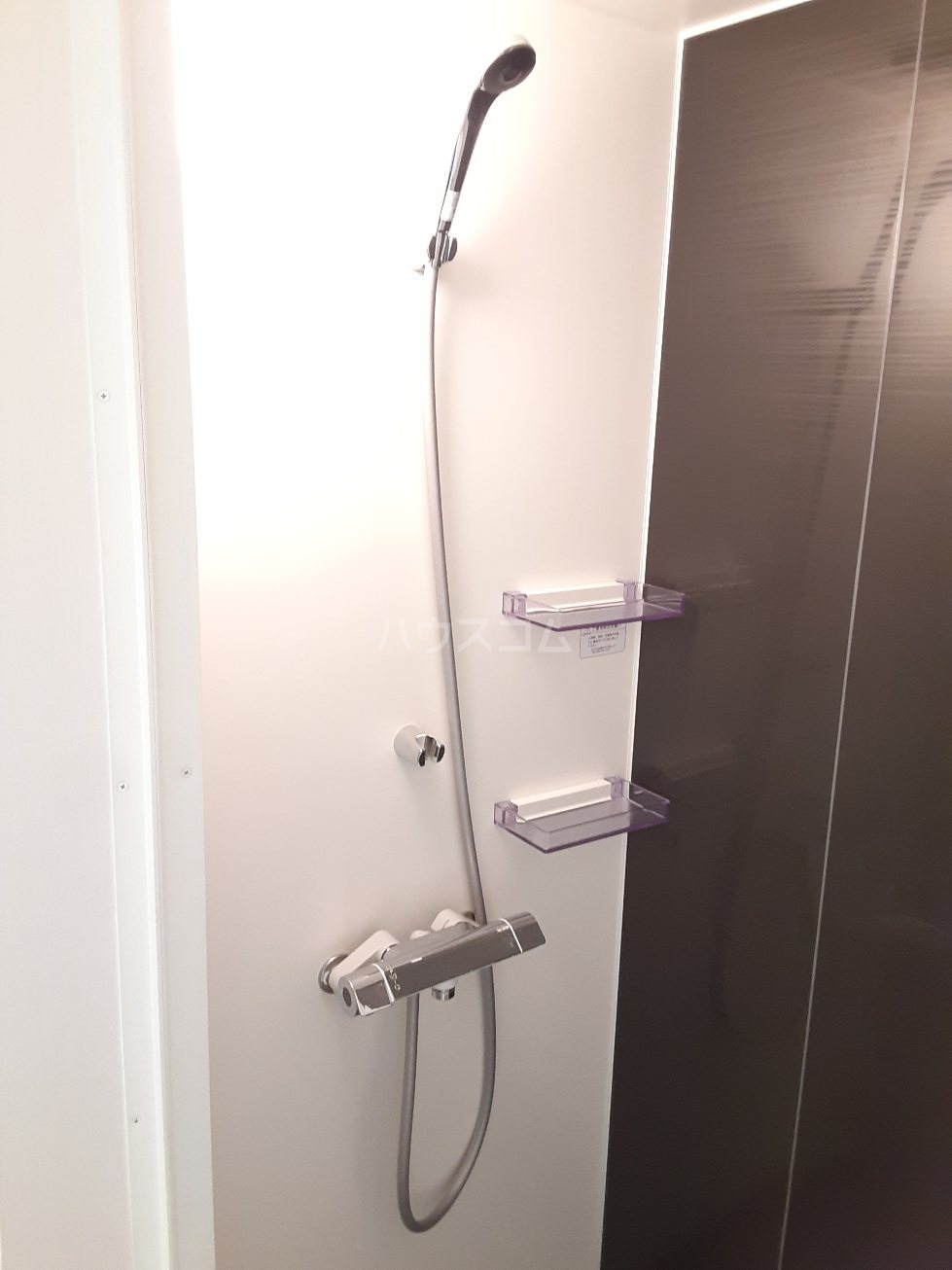 25/30 その他画像