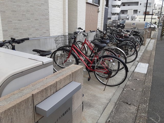 20/30 その他画像