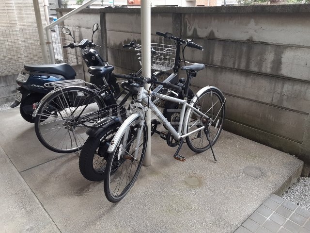 12/29 その他画像