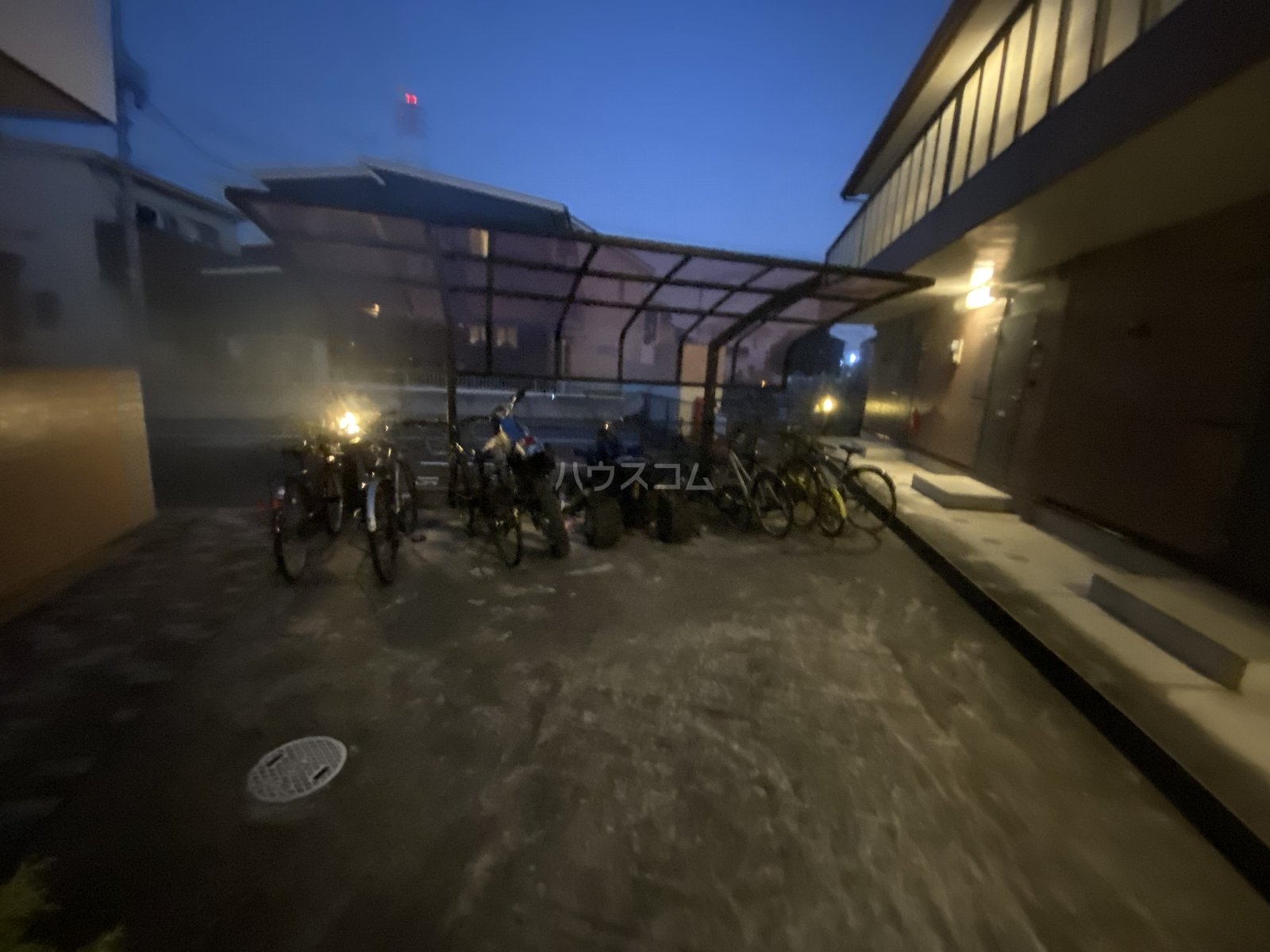 20/30 その他画像