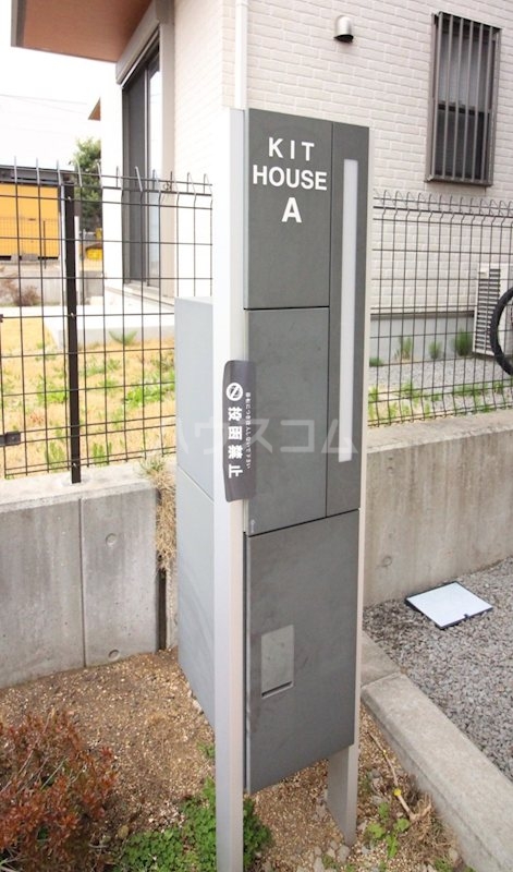 17/25 その他画像