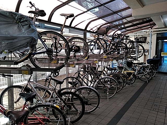 5/15 その他画像