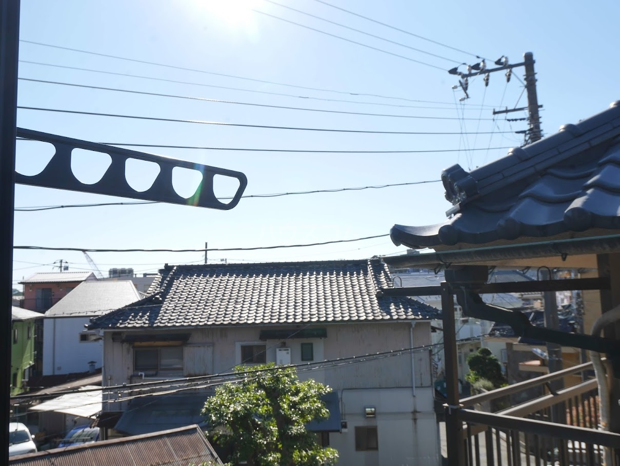 15/25 その他画像