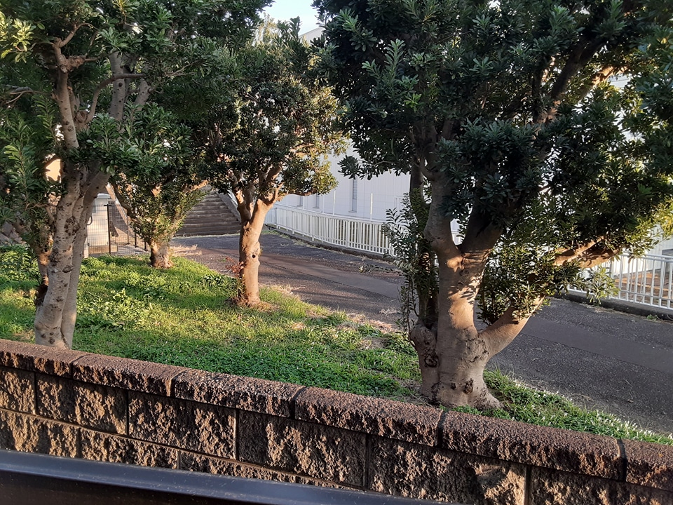 13/16 その他画像