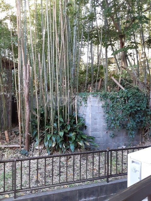 15/24 その他画像