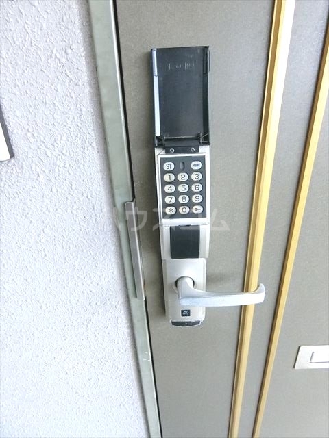 15/17 その他画像