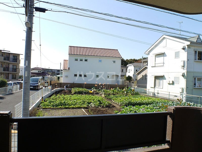 11/15 その他画像