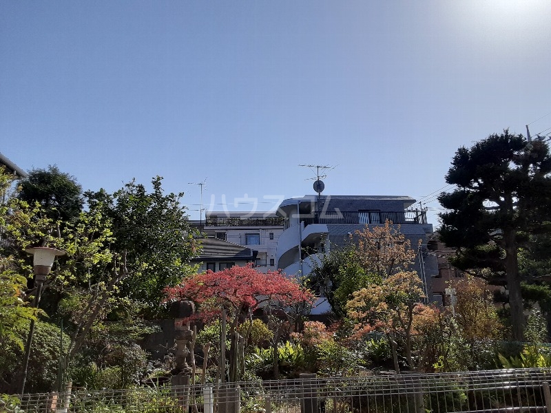 20/30 その他画像