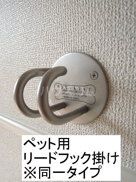 20/27 その他画像