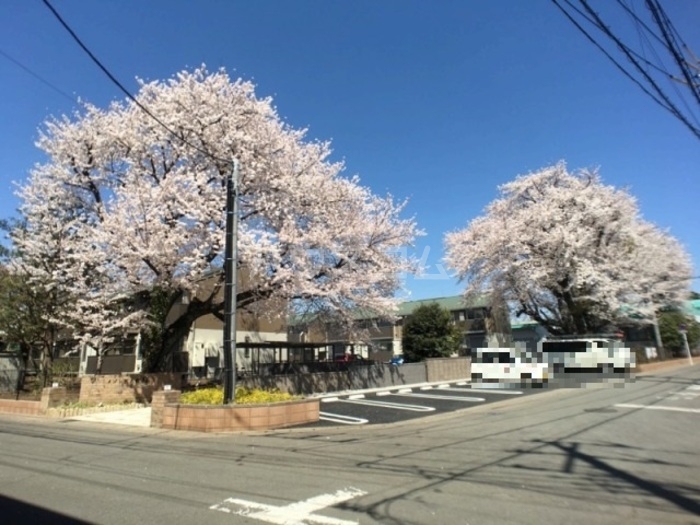 19/30 その他画像