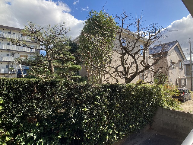 20/30 その他画像