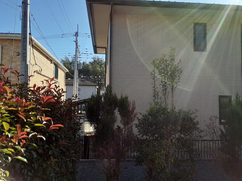 15/24 その他画像