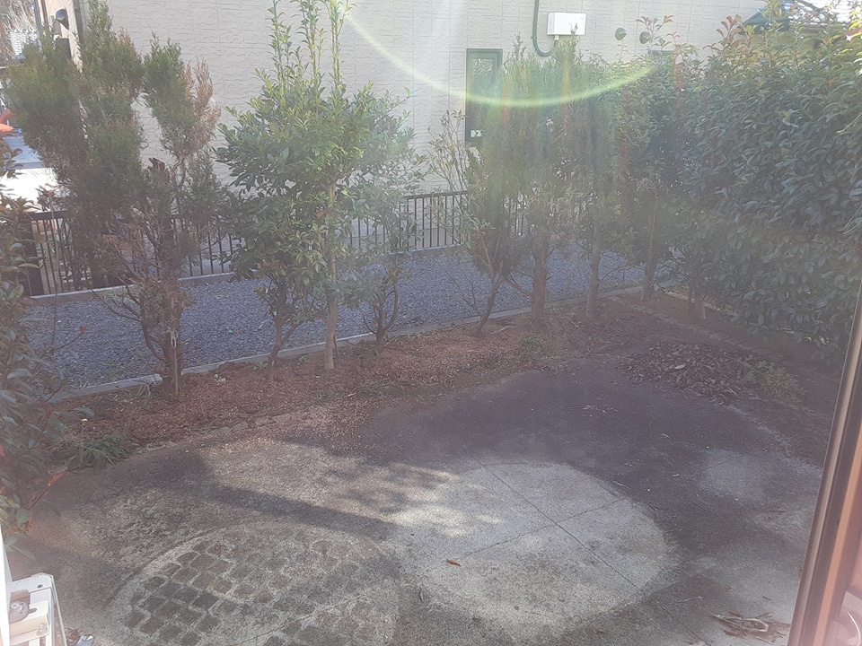 16/24 その他画像