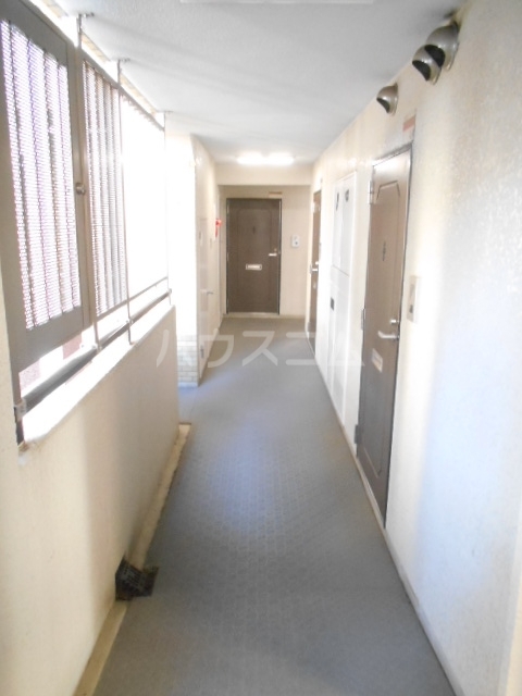 17/29 その他画像