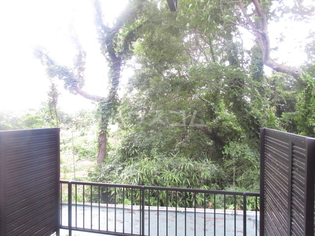 15/30 その他画像