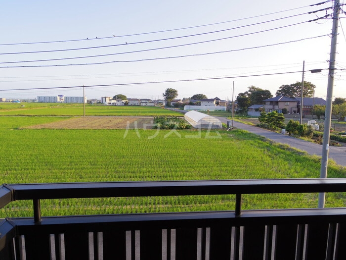 14/19 その他画像