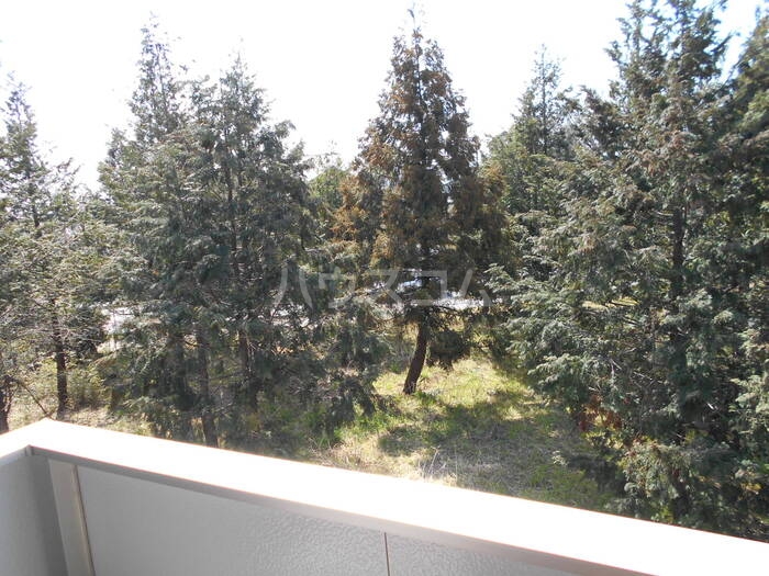 14/22 その他画像