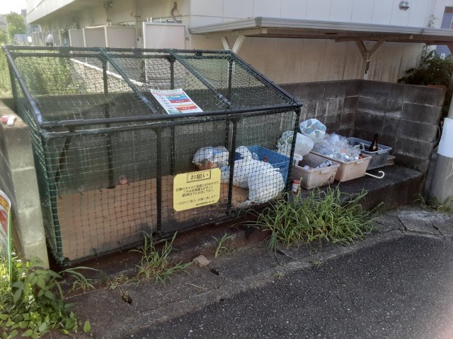 4/11 その他画像