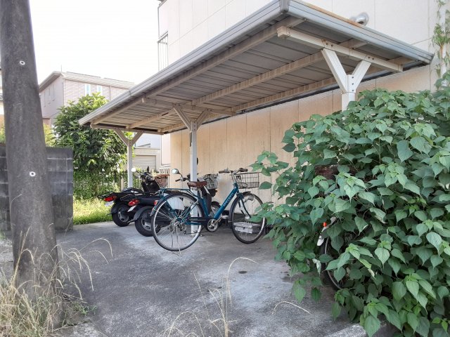 5/11 その他画像