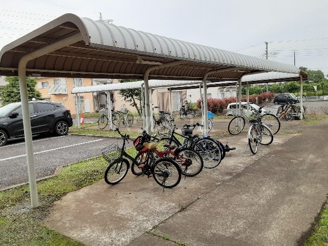 5/14 その他画像