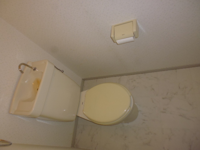10/29 トイレ
