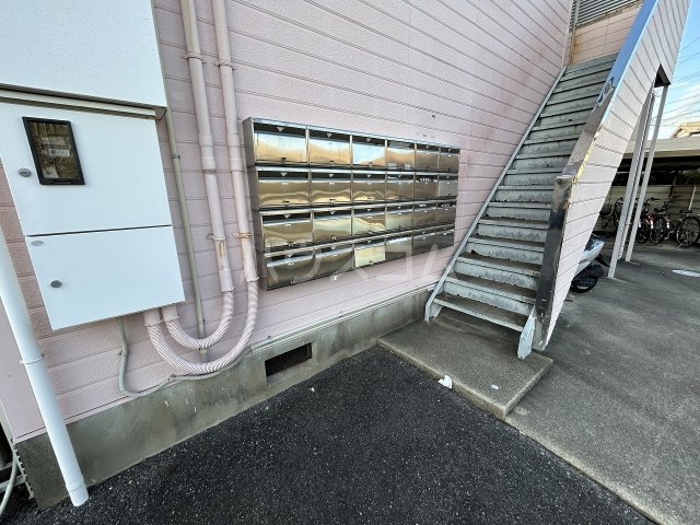 20/30 その他画像