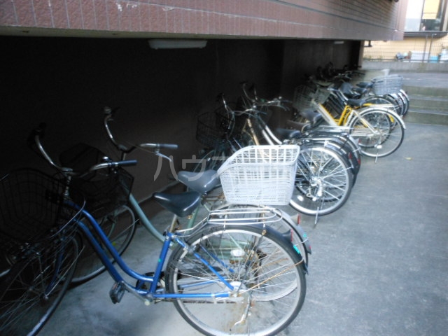 17/17 その他画像